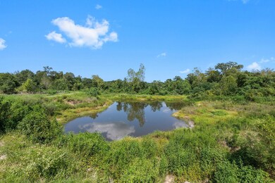 16117 Needham Rd, Conroe, TX 77385 - photo 7