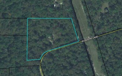 122 Bluebird Ln, Crawfordville, FL 32327 - photo 3