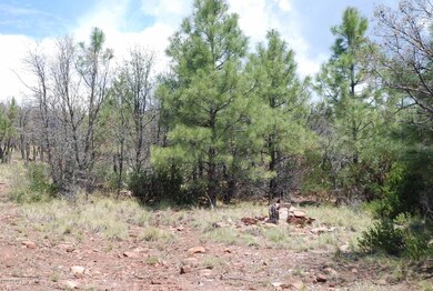 Lot 39 E Antelope Trail unit 39, Payson, AZ 85541 - photo 3