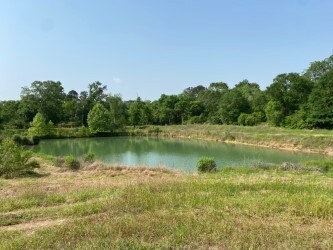 27897 Kresdorn Rd, Hockley, TX 77447 - photo 5