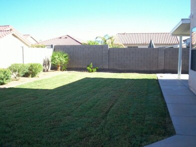 Back yard