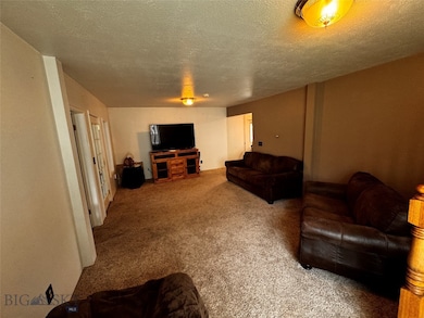 Carpeted living room