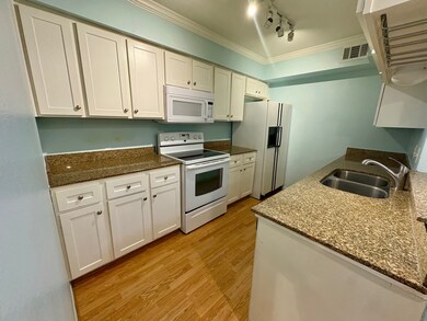 4635 Wild Indigo St unit 503, Houston, TX 77027 - photo 5