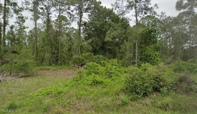 View of undeveloped land