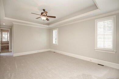 Master Suite with Trey Ceiling and Plantation Shut