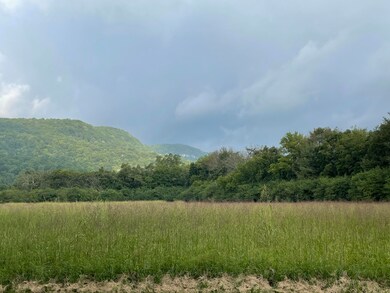IMG_0914