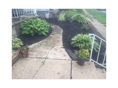Yard/Garden.