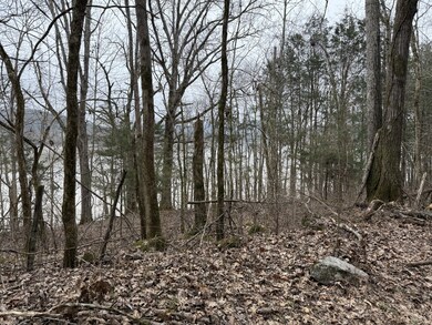 0 Cook Ln unit RTC3054661, Gainesboro, TN 38562 - photo 6