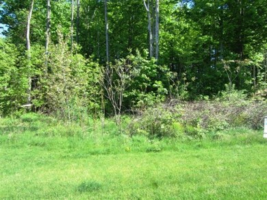 Buildable large lot