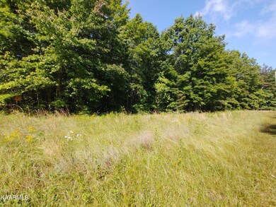 Lot 6c