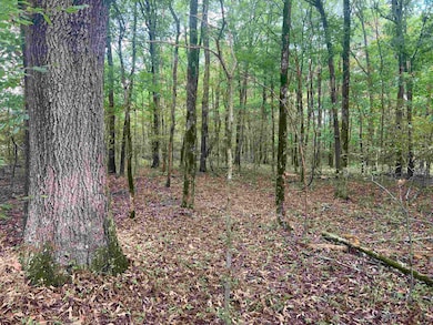 View of local wilderness