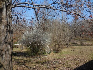 250 Stan Ave, West Fork, AR 72774 - photo 4