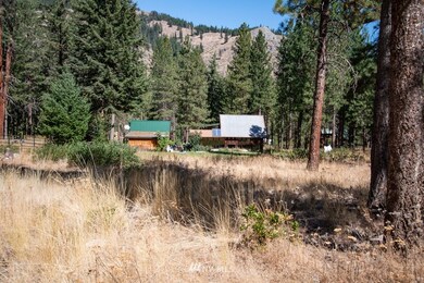 51 E Buttermilk Creek Rd unit D, Twisp, WA 98856 - photo 2