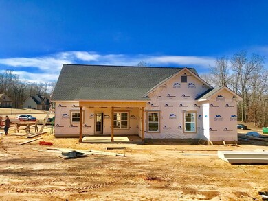 1104 Fawn Cove, Oxford, MS 38655 - photo 6