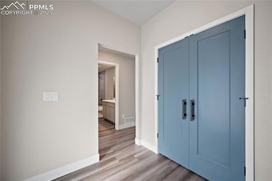 3071 Curly Grove, Colorado Springs, CO 80922 - photo 6