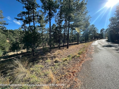 Lot 152 Del Monte Dr, Alto, NM 88312 - photo 7