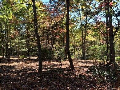 16 Smokey Ridge Trail unit LOT 172, Arden, NC 28704 - photo 6