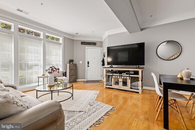 607 Whetstone Glen St, Gaithersburg, MD 20877 - photo 5