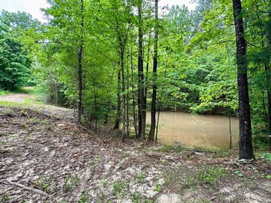 0 Silerton Rd, Toone, TN 38381 - photo 6