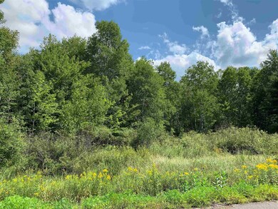 W16471 Old 14 Rd, Rice Lake, WI 54868 - photo 2