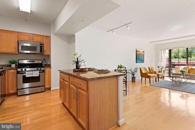 The Aurora Condominiums unit 210, Silver Spring, MD 20910 - photo 7