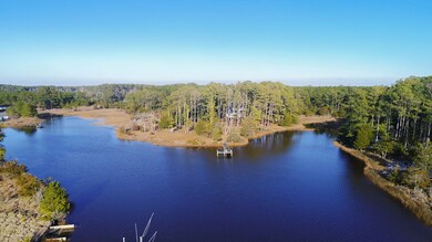 12024 Hacksneck Rd, Hacksneck, VA 23358 - photo 2