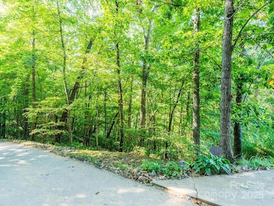 Alpine Ridge (summer view)