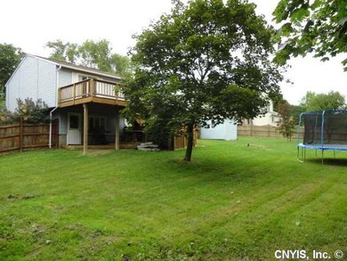 Yard/Garden