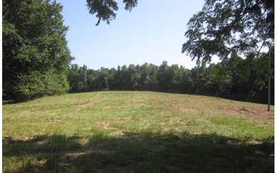 Additional View