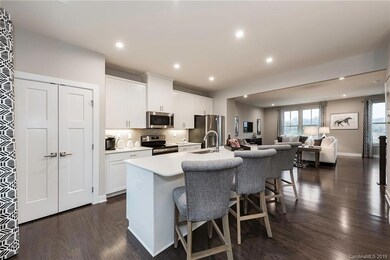 0 Bark Branch Ln unit 1017B 3473441, Charlotte, NC 28205 - photo 5