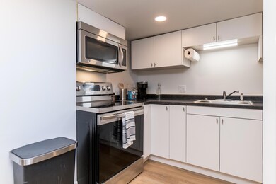 1319 W Textile Rd unit 2, Ann Arbor, MI 48108 - photo 6