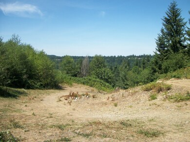 14118 232nd Avenue Ct E, Orting, WA 98360 - photo 3