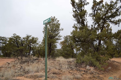 Lot 221 Delph Ct, Candy Kitchen, NM 87321 - photo 2