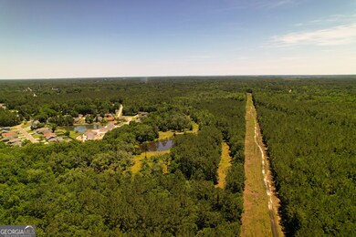 20 Acres Kingsland West of Hwy 17, Kingsland, GA 31548 - photo 7