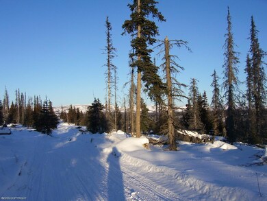 TRAIL LOOKING NORTH