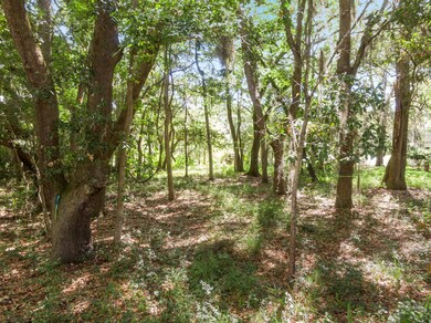 4283TurtleLandingCt-KeenEyeMarketing-06