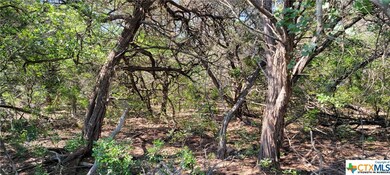 6110 Cliff Ln, Temple, TX 76502 - photo 5