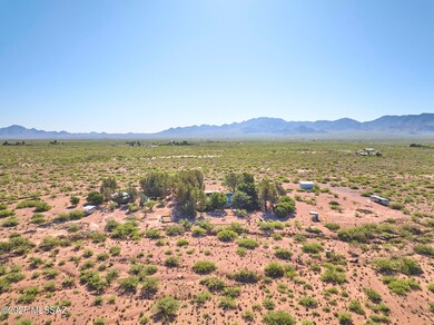 285 W Red Dog Rd, San Simon, AZ 85632 - photo 4