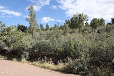 208 E Ridge Ln unit 12, Payson, AZ 85541 - photo 7