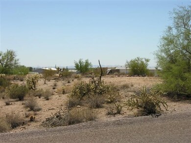 Looking South on property