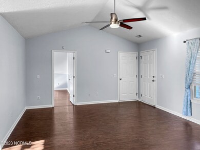 213_Red_Carnation00009_single