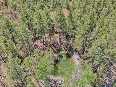 4483 S 24th St, Show Low, AZ 85901 - photo 3