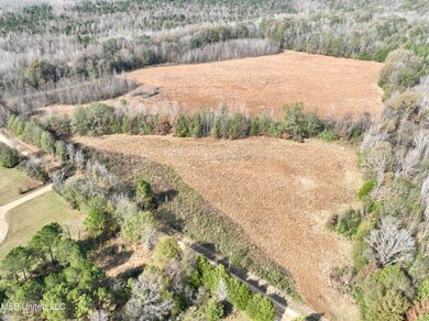 0000 Pisgah Bottom Rd, Canton, MS 39046 - photo 4