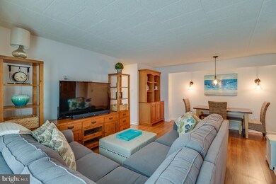 59 Maryland Ave unit 204D, Rehoboth Beach, DE 19971 - photo 7