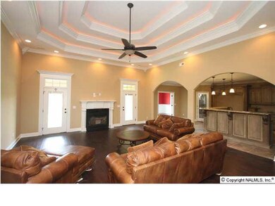 The great room has an amazing triple trey ceiling! Each trey has dropped crown molding with rope lighting above. It opens into the kitchen with two large arched openings.