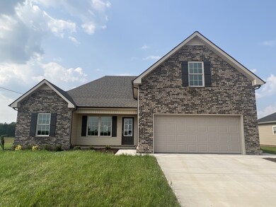 208 Meadowbrook Dr, Shelbyville, TN 37160 - photo 6