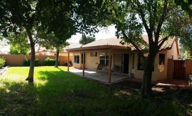 Backyard Shade
