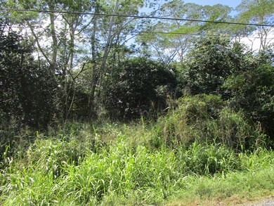 0 9th Ave (Kalaunu) unit 718806, Keaau, HI 96749 - photo 2