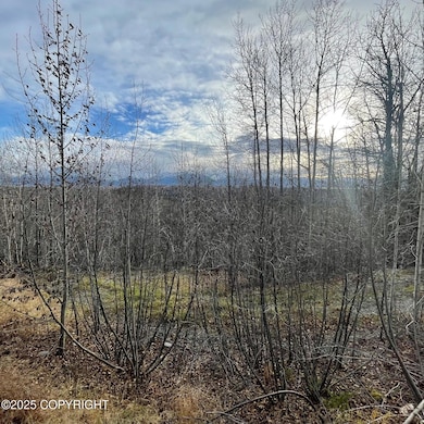 5500 W Birch Harbor Dr, Knik-Fairview, AK 99654 - photo 4