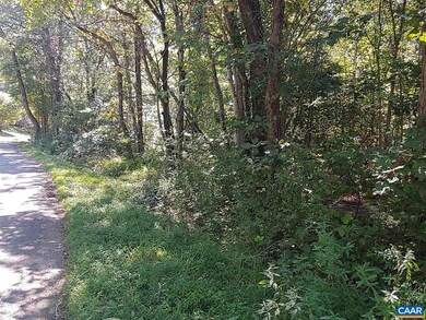 0 Dudley Mountain Rd, North Garden, VA 22959 - photo 6